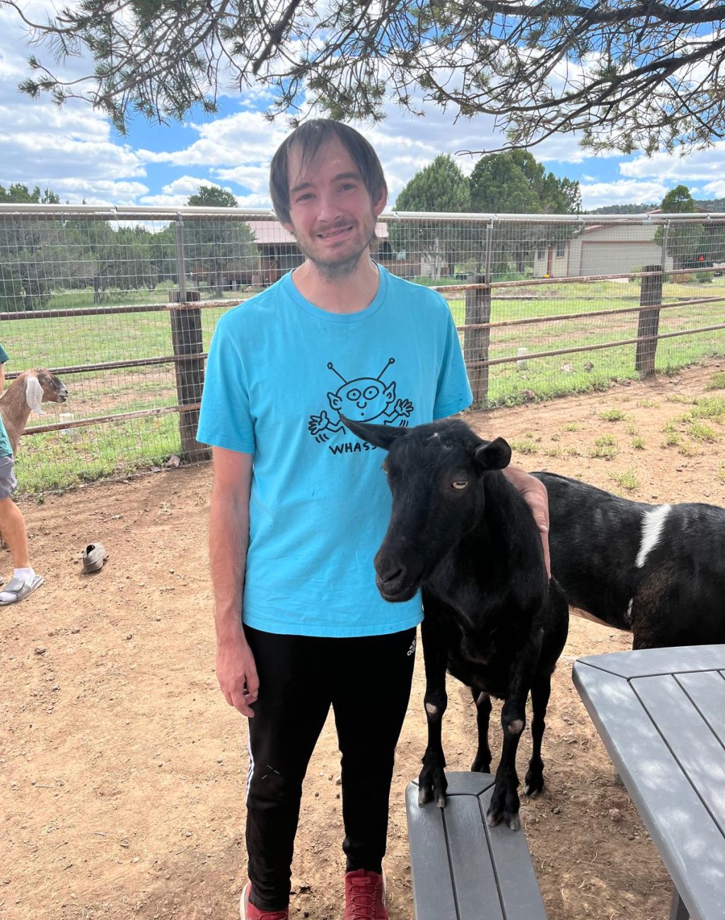 animal&student2